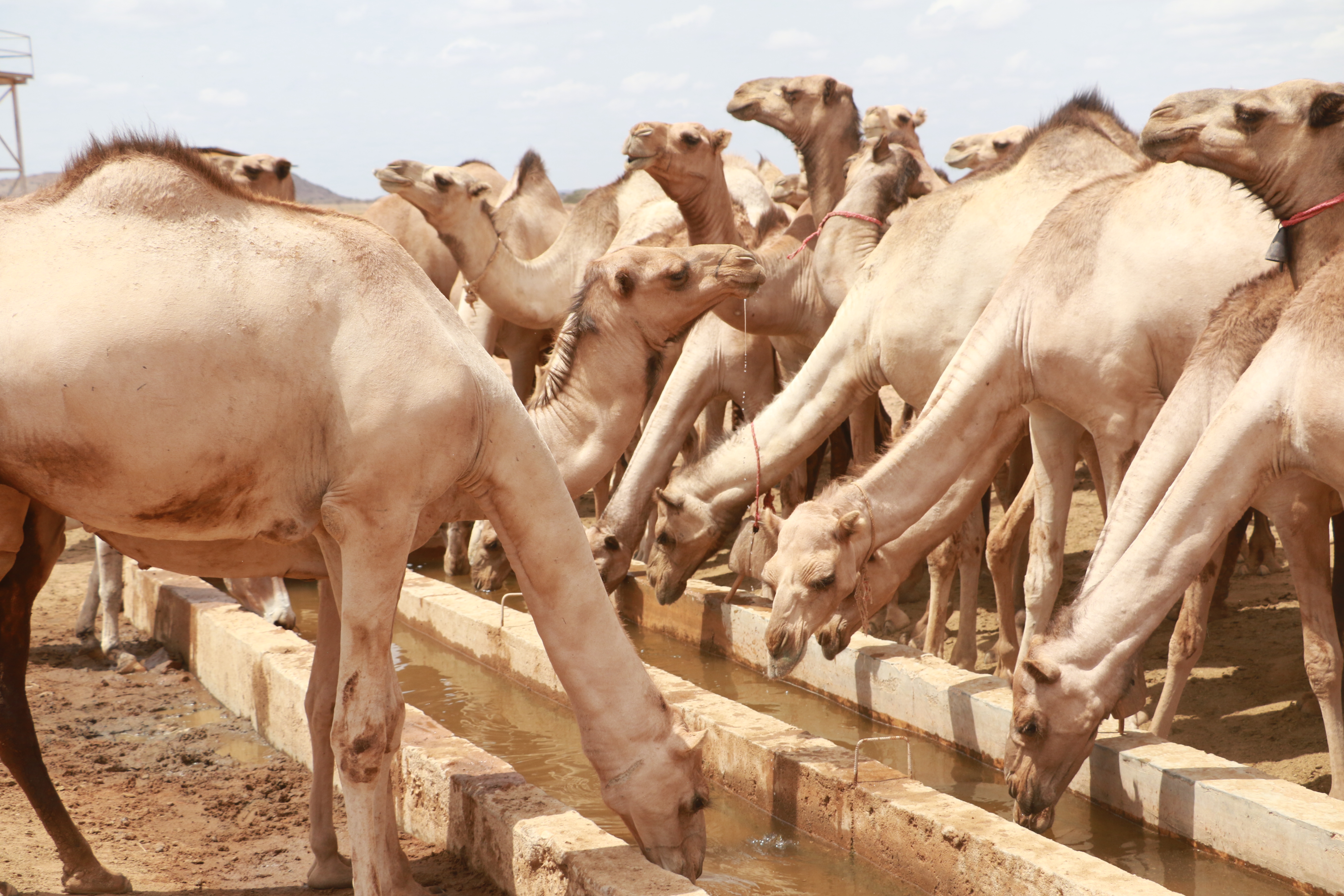 Water & Infrastructure &mdash; Shepherds Source community programme